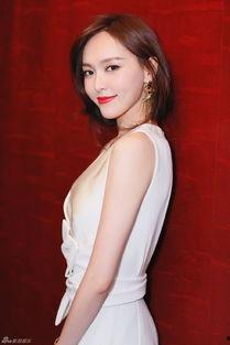 秦岚隐私爆料视频大全,揭秘娱乐圈背后的真相  第1张